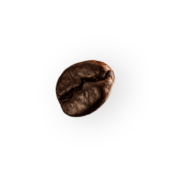 coffee-beans-P4MXYZD2-1-min