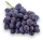 fresh-blue-grapes-isolated-on-a-white-background-PHBB52U-min-min