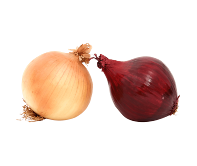 Fresh-Onions-1280x639-1