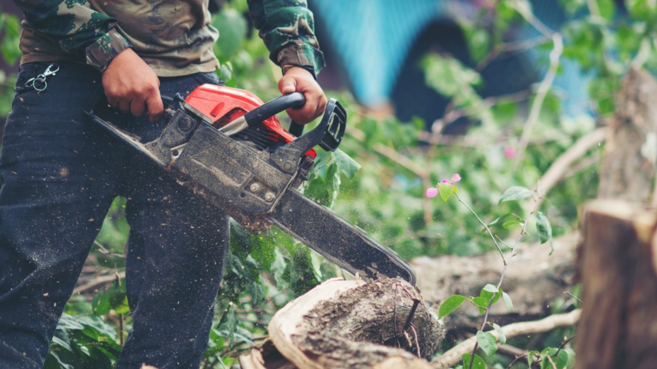 asian-man-cutting-trees-using-electrical-chainsaw-min